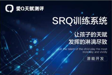 项目二、SQR训练