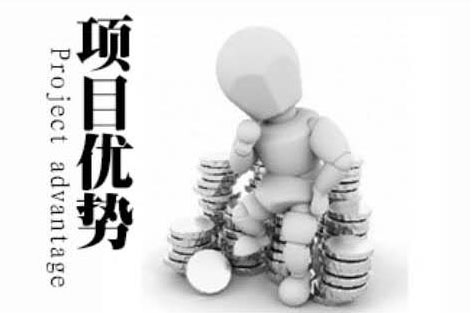 项目优势