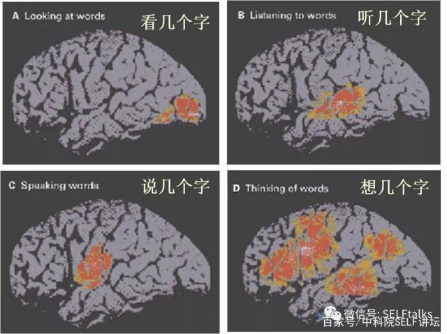 中国脑健康日关注“头”等大事,中国脑科技的未来是什么?