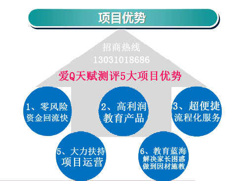 项目优势